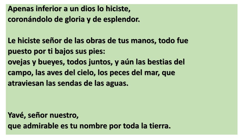 Apenas inferior a un dios lo hiciste, coronándolo de gloria y de esplendor.