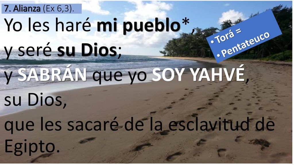 7. Alianza (Ex 6,3). Yo les haré mi pueblo*, y seré su Dios; y SABRÁN que yo SOY YAHVÉ, su Dios, que les sacaré de la esclavitud de Egipto.