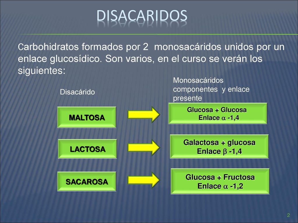 disacaridos Carbohidratos formados por 2 monosacáridos unidos por un enlace glucosídico. Son varios, en el curso se verán los siguientes: