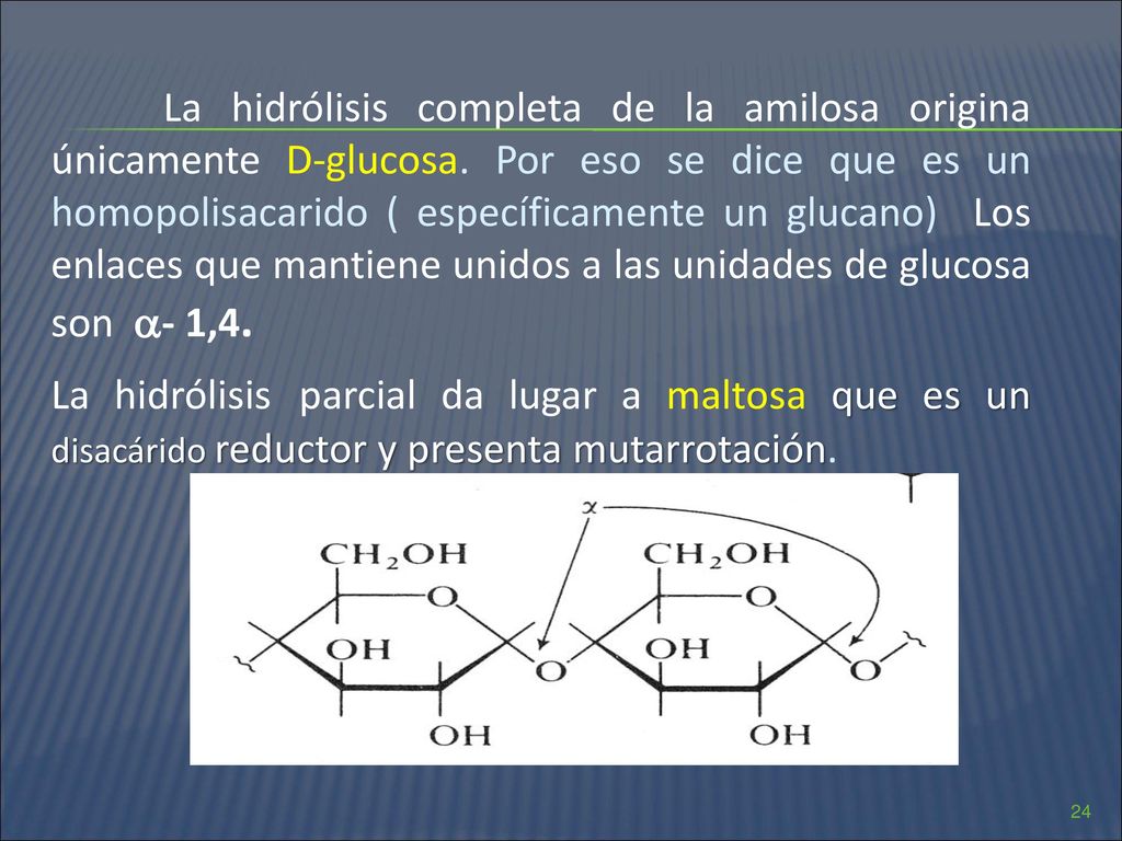 La hidrólisis completa de la amilosa origina únicamente D-glucosa