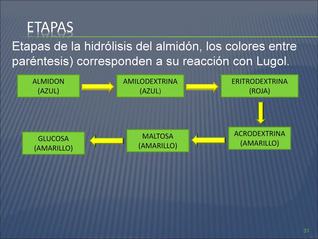 Etapas Etapas de la hidrólisis del almidón, los colores entre paréntesis) corresponden a su reacción con Lugol.