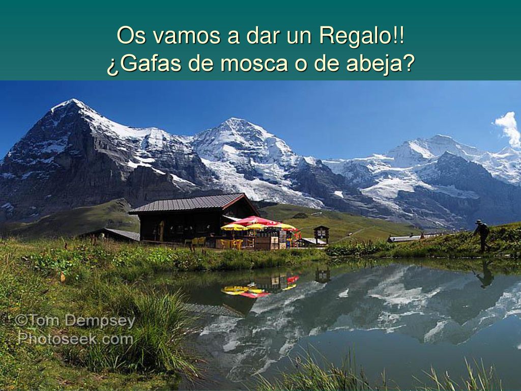 Os vamos a dar un Regalo!! ¿Gafas de mosca o de abeja
