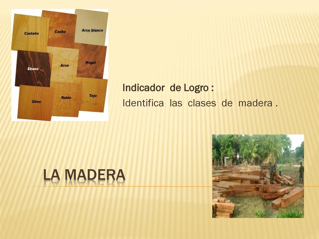 Indicador de Logro : Identifica las clases de madera .