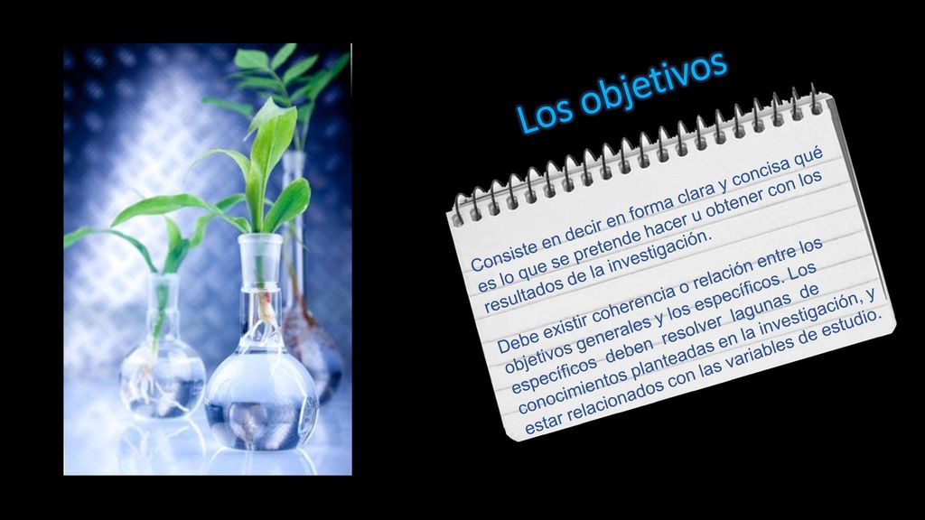 Los objetivos Consiste en decir en forma clara y concisa qué es lo que se pretende hacer u obtener con los resultados de la investigación.