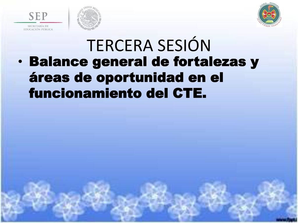 TERCERA SESIÓN Balance general de fortalezas y áreas de oportunidad en el funcionamiento del CTE.