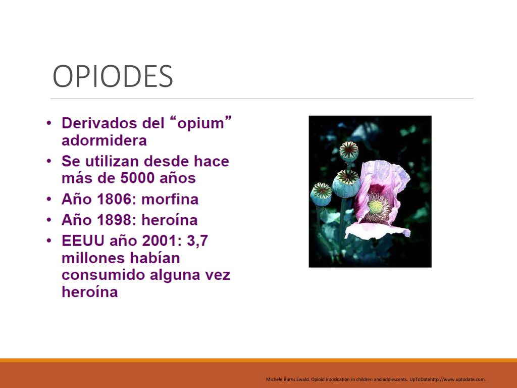 OPIODES Michele Burns Ewald. Opioid intoxication in children and adolescents.