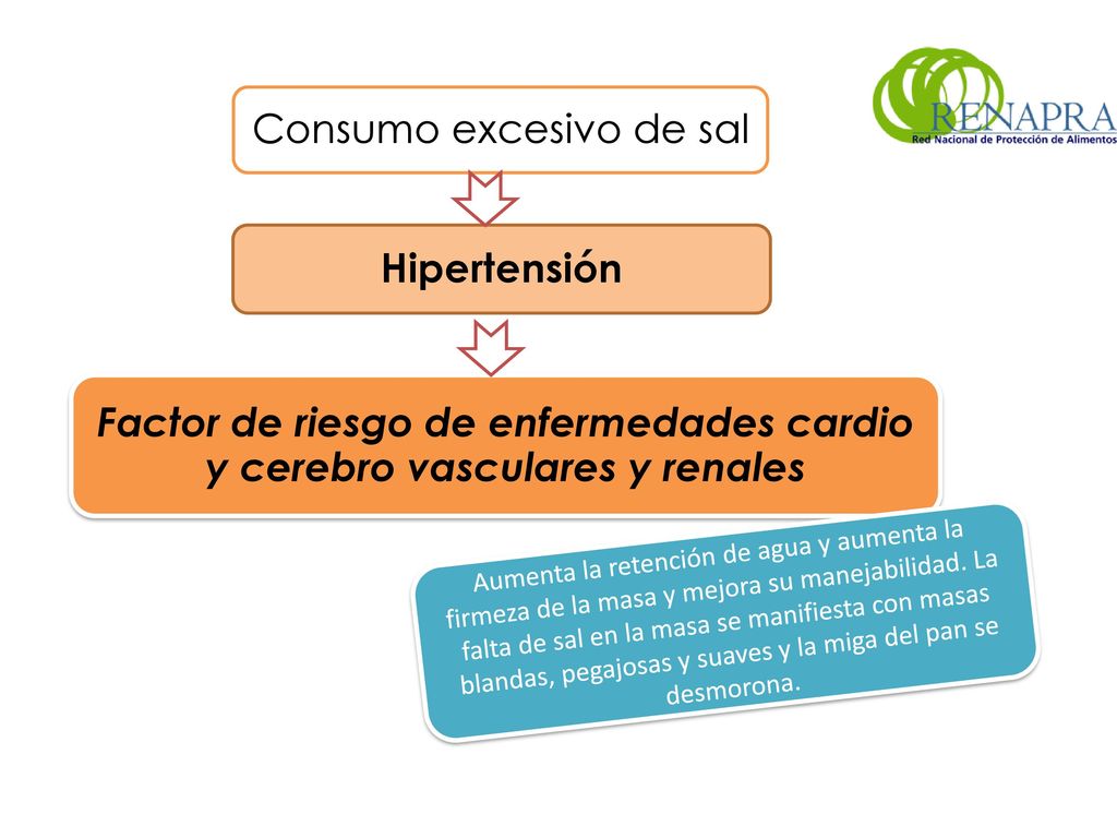 Factor de riesgo de enfermedades cardio y cerebro vasculares y renales