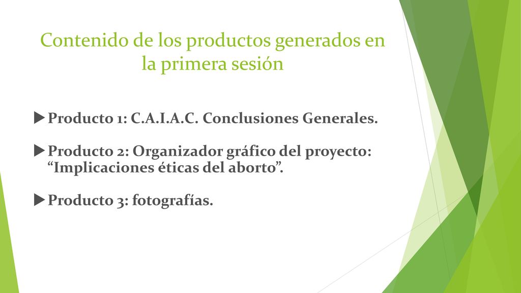 Contenido de los productos generados en la primera sesión