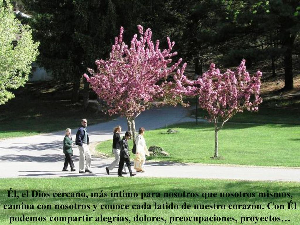 Él, el Dios cercano, más íntimo para nosotros que nosotros mismos, camina con nosotros y conoce cada latido de nuestro corazón.