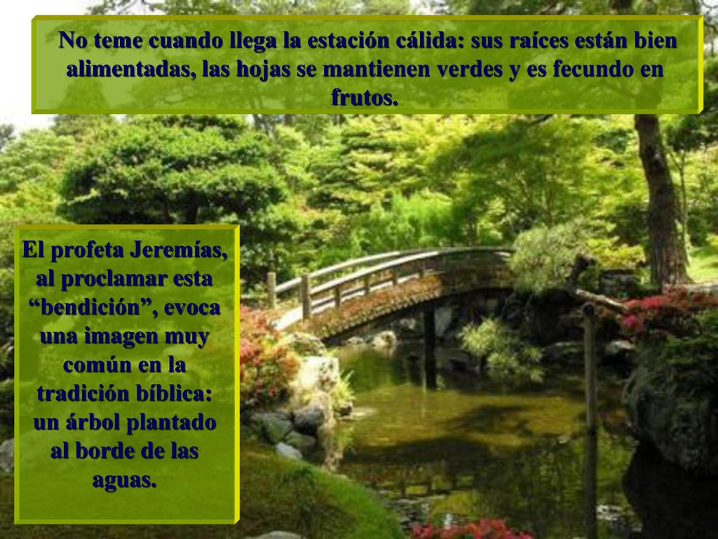 No teme cuando llega la estación cálida: sus raíces están bien alimentadas, las hojas se mantienen verdes y es fecundo en frutos.