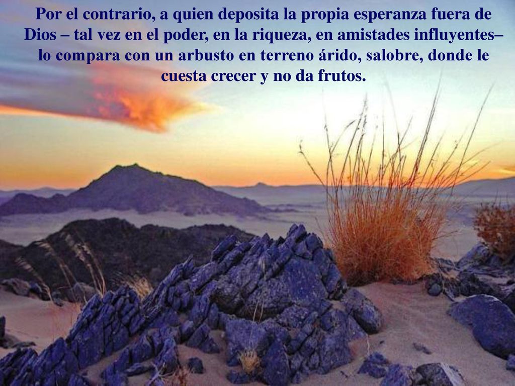 Por el contrario, a quien deposita la propia esperanza fuera de Dios – tal vez en el poder, en la riqueza, en amistades influyentes– lo compara con un arbusto en terreno árido, salobre, donde le cuesta crecer y no da frutos.