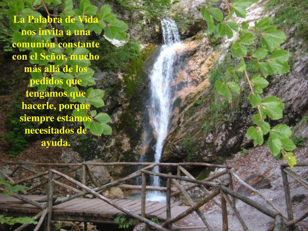 La Palabra de Vida nos invita a una comunión constante con el Señor, mucho más allá de los pedidos que tengamos que hacerle, porque siempre estamos necesitados de ayuda.