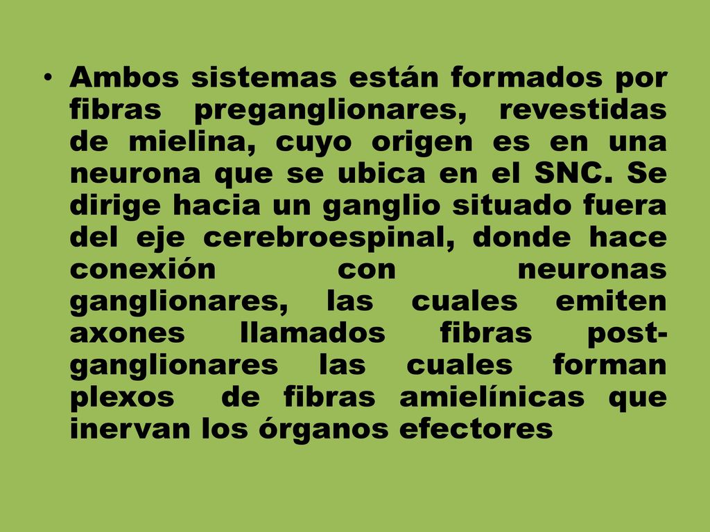 Ambos sistemas están formados por fibras preganglionares, revestidas de mielina, cuyo origen es en una neurona que se ubica en el SNC.