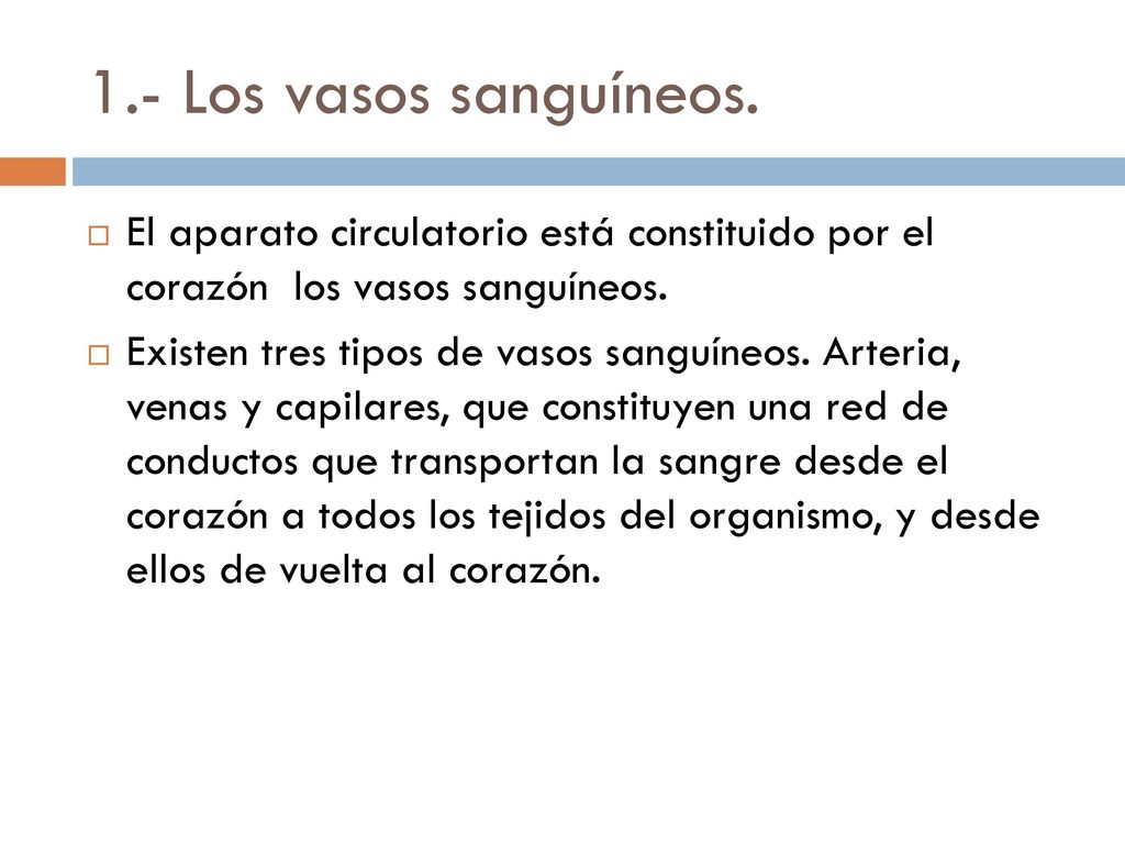 1.- Los vasos sanguíneos. El aparato circulatorio está constituido por el corazón los vasos sanguíneos.