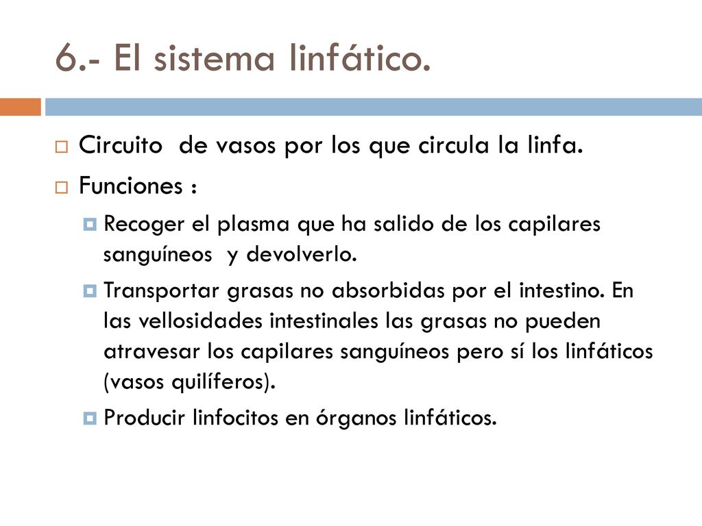 6.- El sistema linfático. Circuito de vasos por los que circula la linfa. Funciones :