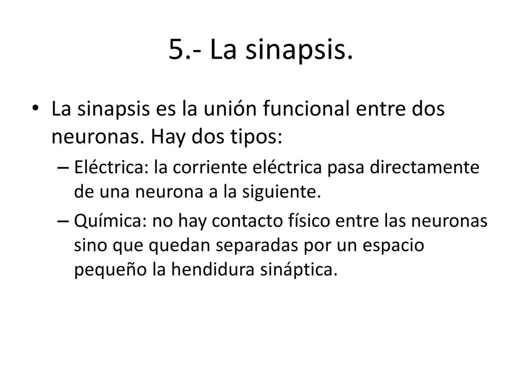 5.- La sinapsis. La sinapsis es la unión funcional entre dos neuronas. Hay dos tipos: