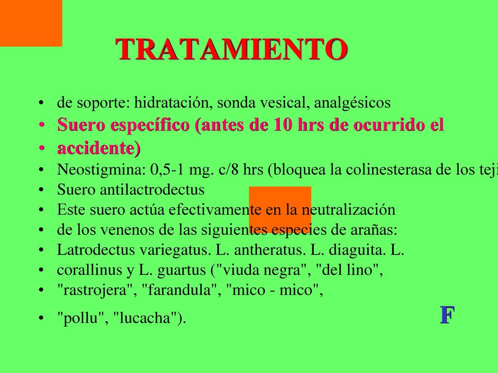 TRATAMIENTO Suero específico (antes de 10 hrs de ocurrido el