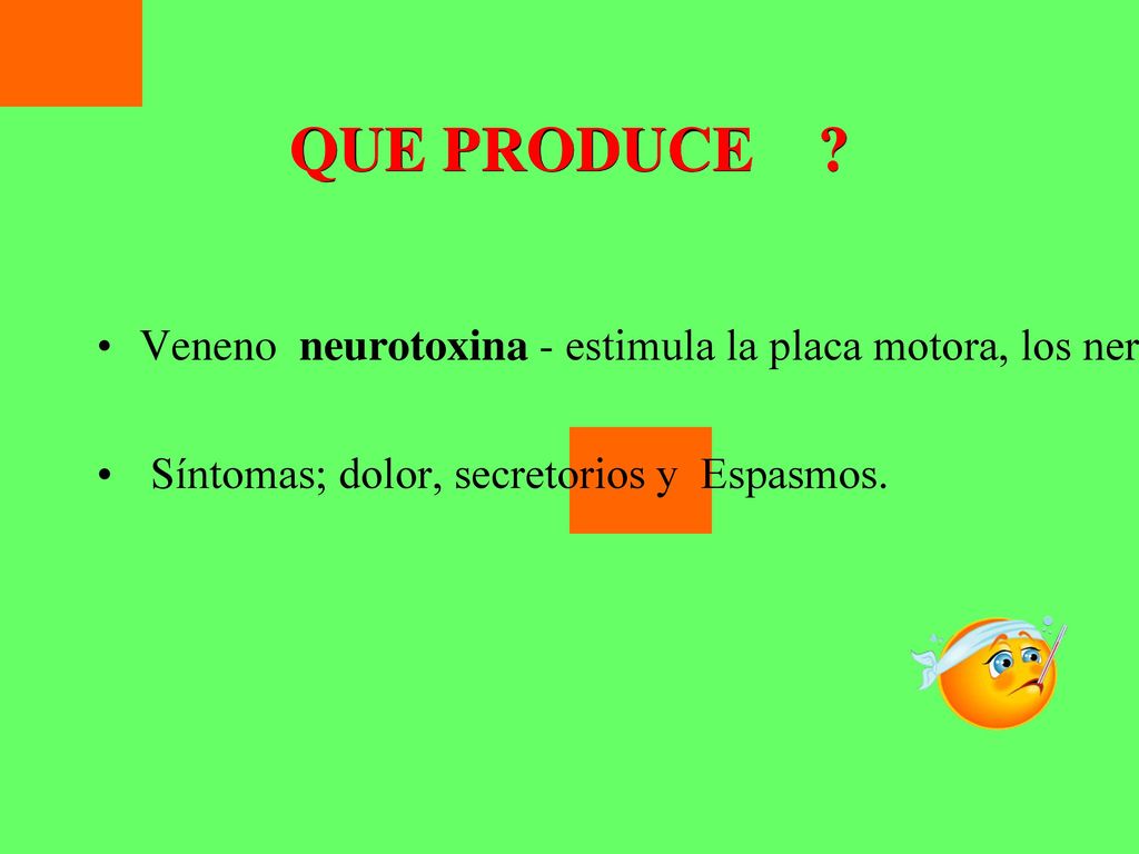 QUE PRODUCE Veneno neurotoxina - estimula la placa motora, los nervios y terminaciones de centros neurovegetativos del sistema simpático.