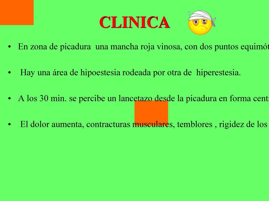 CLINICA En zona de picadura una mancha roja vinosa, con dos puntos equimóticos. Hay una área de hipoestesia rodeada por otra de hiperestesia.