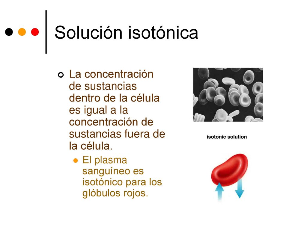 Solución isotónica La concentración de sustancias dentro de la célula es igual a la concentración de sustancias fuera de la célula.