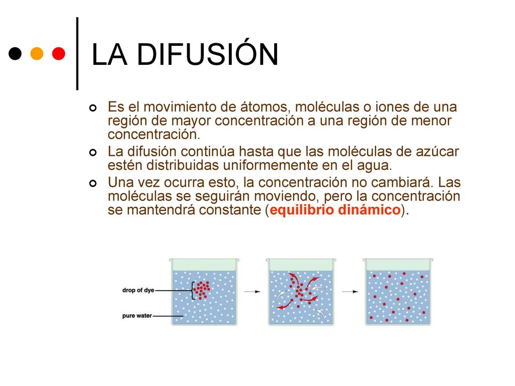 LA DIFUSIÓN Es el movimiento de átomos, moléculas o iones de una región de mayor concentración a una región de menor concentración.