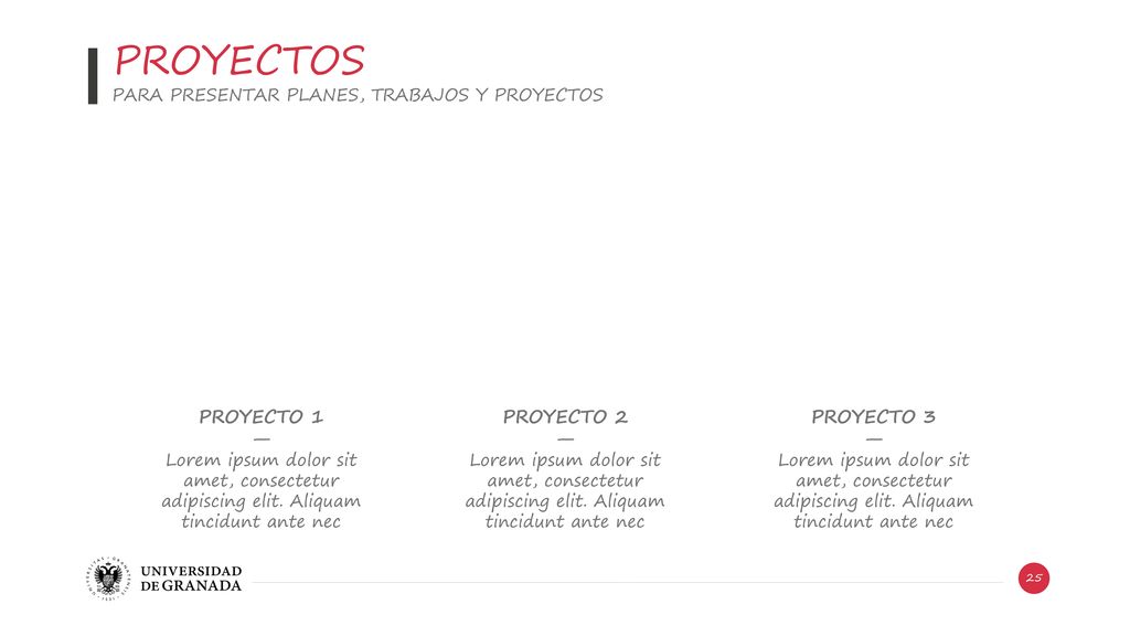 PROYECTOS PROYECTO 1 — PROYECTO 2 — PROYECTO 3 —