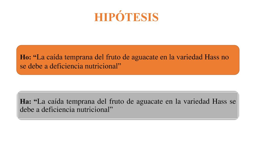 HIPÓTESIS Ho: La caída temprana del fruto de aguacate en la variedad Hass no se debe a deficiencia nutricional