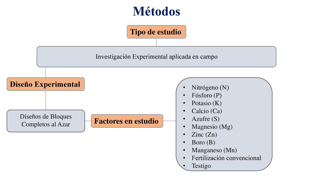 Métodos Tipo de estudio Diseño Experimental Factores en estudio