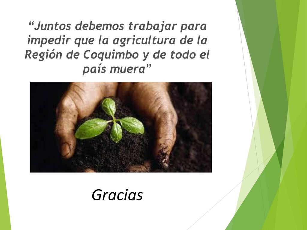 Juntos debemos trabajar para impedir que la agricultura de la Región de Coquimbo y de todo el país muera
