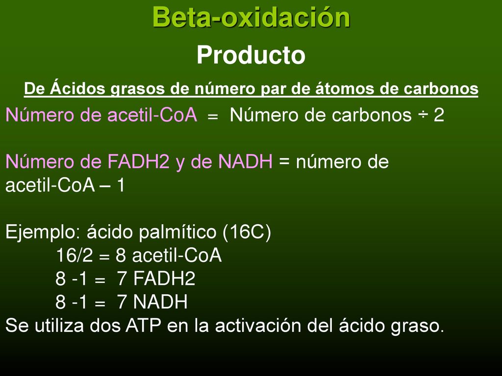 De Ácidos grasos de número par de átomos de carbonos