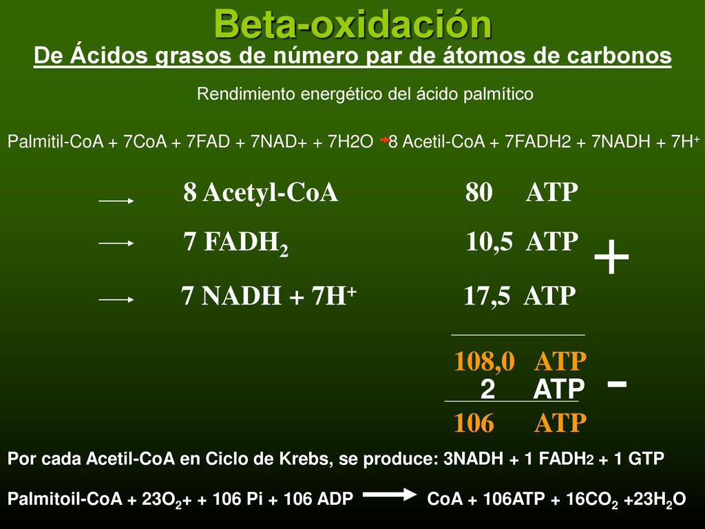 De Ácidos grasos de número par de átomos de carbonos