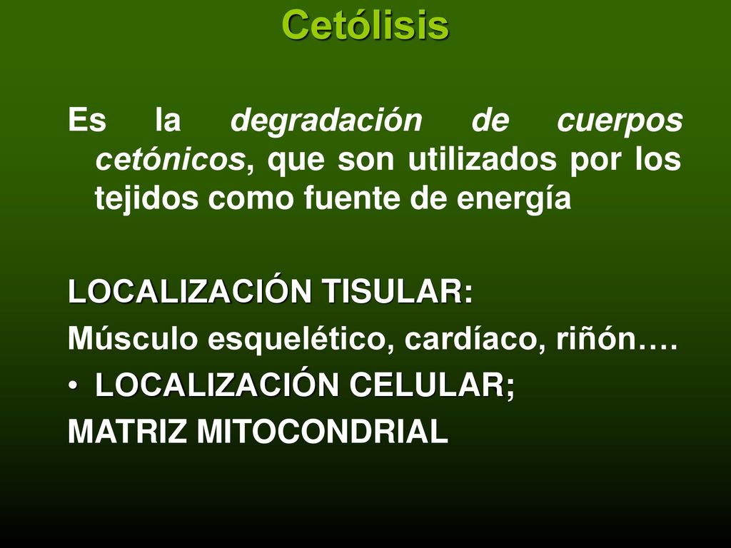 Cetólisis Es la degradación de cuerpos cetónicos, que son utilizados por los tejidos como fuente de energía.
