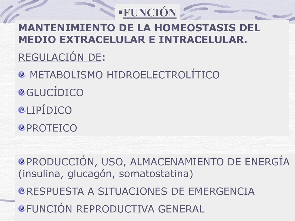 FUNCIÓN MANTENIMIENTO DE LA HOMEOSTASIS DEL MEDIO EXTRACELULAR E INTRACELULAR. REGULACIÓN DE: METABOLISMO HIDROELECTROLÍTICO.