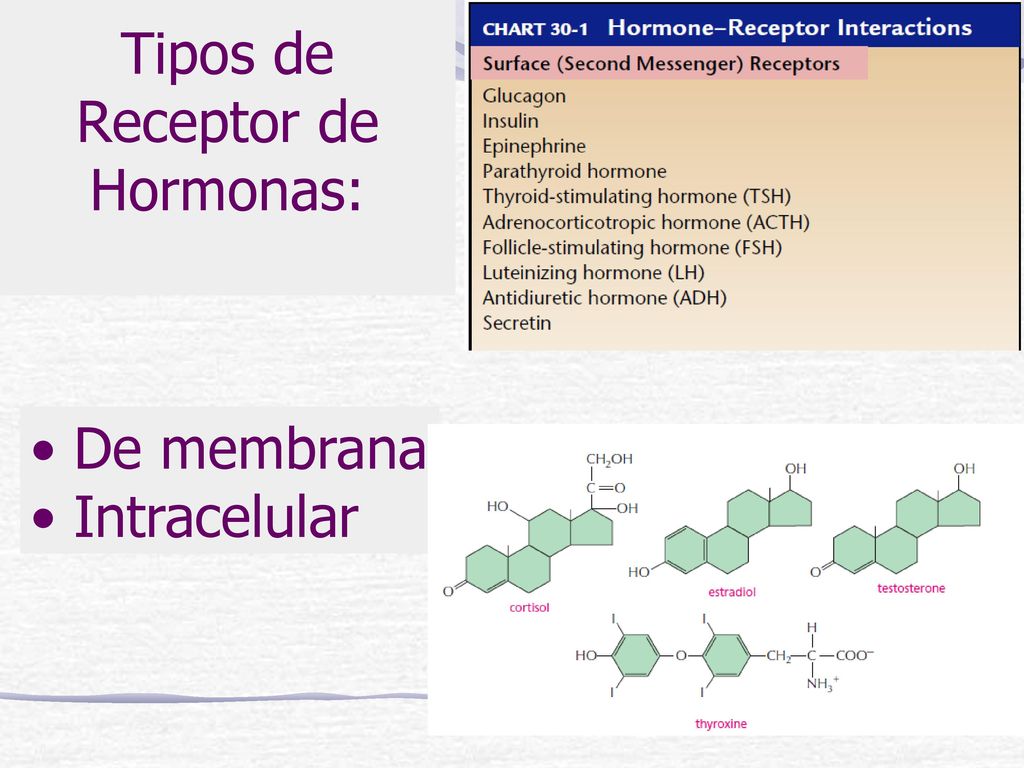 Tipos de Receptor de Hormonas: