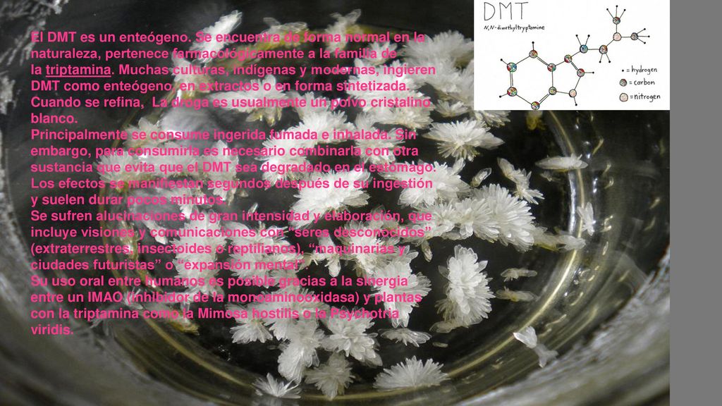El DMT es un enteógeno. Se encuentra de forma normal en la naturaleza, pertenece farmacológicamente a la familia de la triptamina. Muchas culturas, indígenas y modernas, ingieren DMT como enteógeno, en extractos o en forma sintetizada. Cuando se refina, La droga es usualmente un polvo cristalino blanco.
