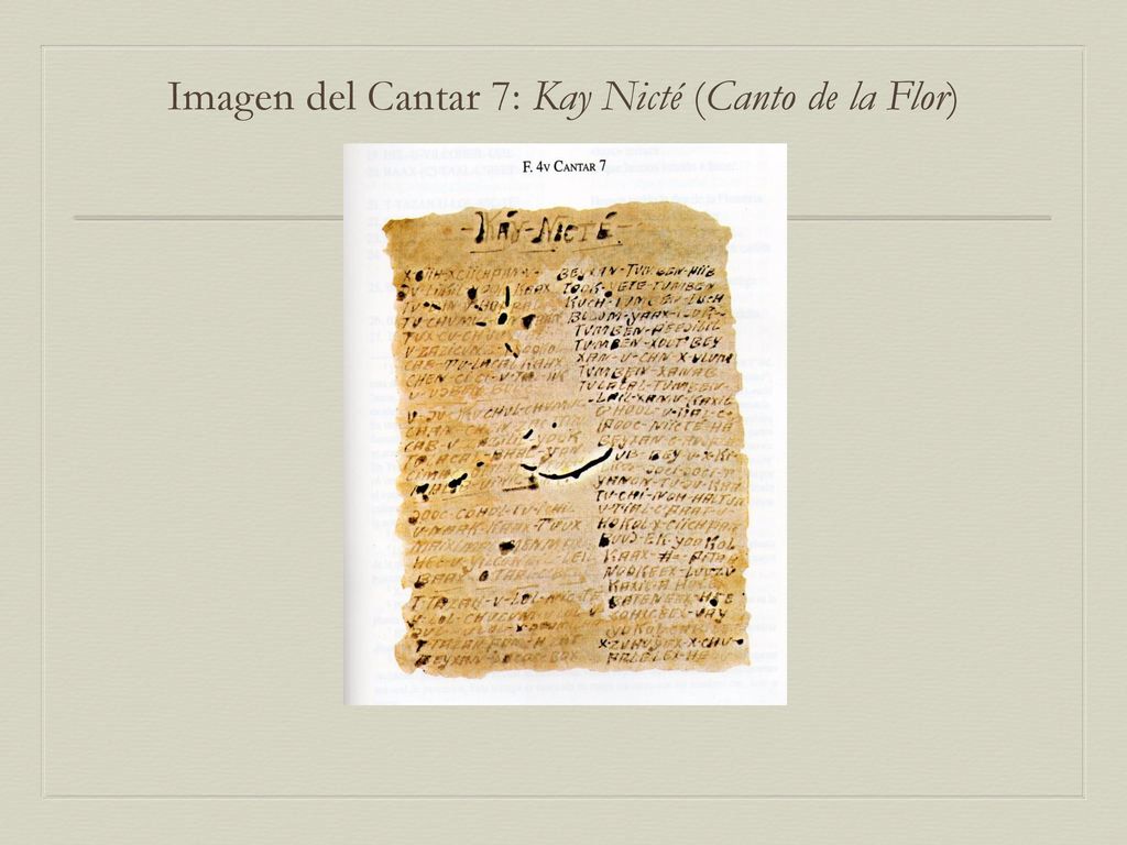 Imagen del Cantar 7: Kay Nicté (Canto de la Flor)