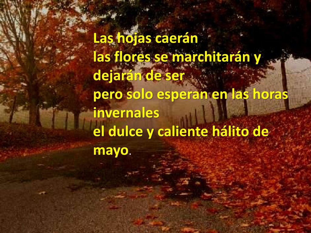 Las hojas caerán las flores se marchitarán y dejarán de ser pero solo esperan en las horas invernales el dulce y caliente hálito de mayo.