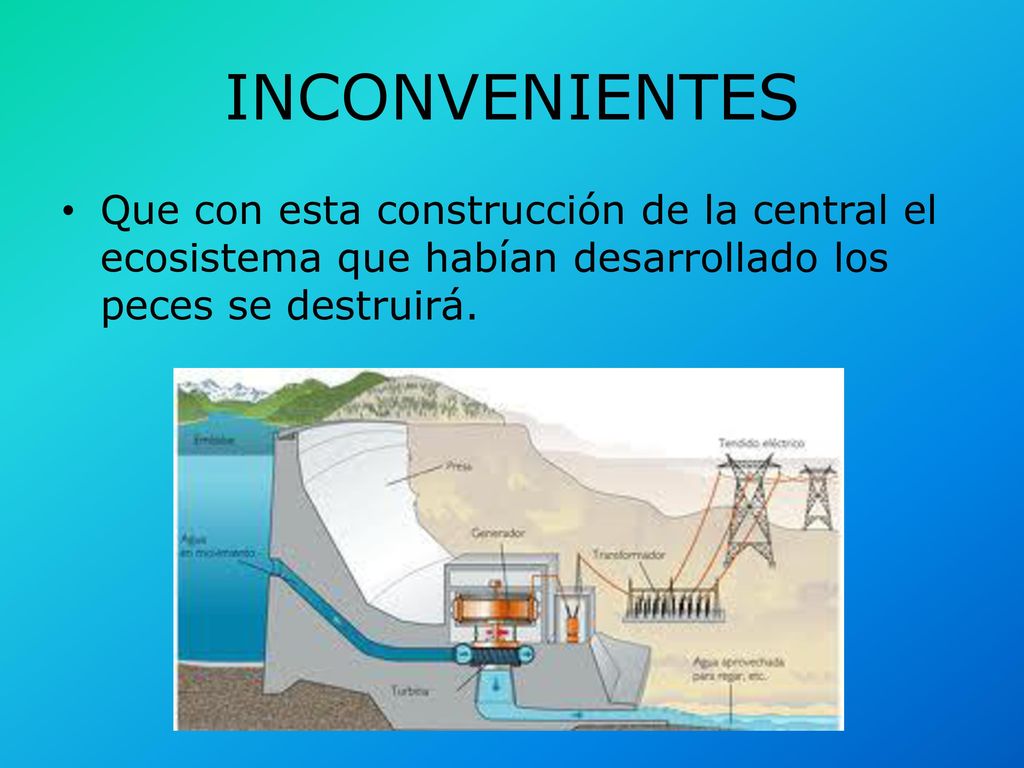 INCONVENIENTES Que con esta construcción de la central el ecosistema que habían desarrollado los peces se destruirá.