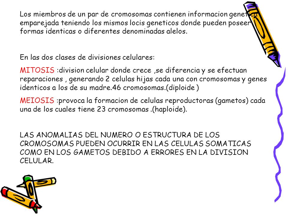 Los miembros de un par de cromosomas contienen informacion genetica emparejada teniendo los mismos locis geneticos donde pueden poseer formas identicas o diferentes denominadas alelos.
