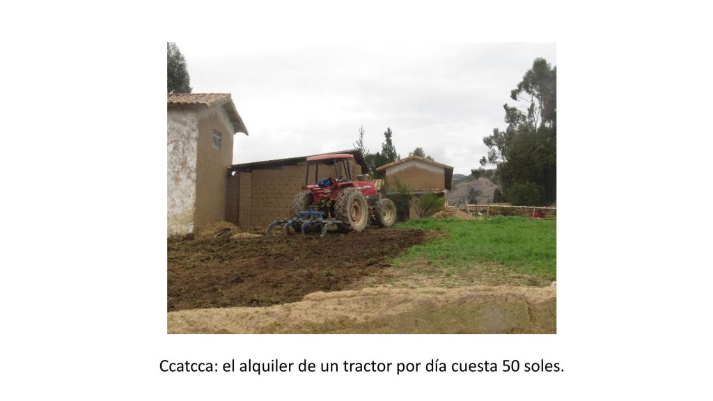 Ccatcca: el alquiler de un tractor por día cuesta 50 soles.