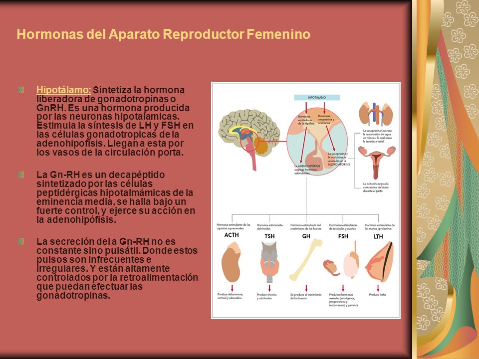 Hormonas del Aparato Reproductor Femenino