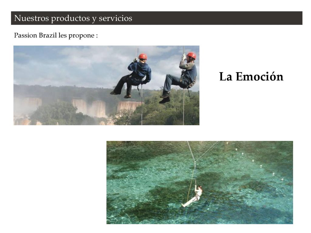 Nuestros productos y servicios