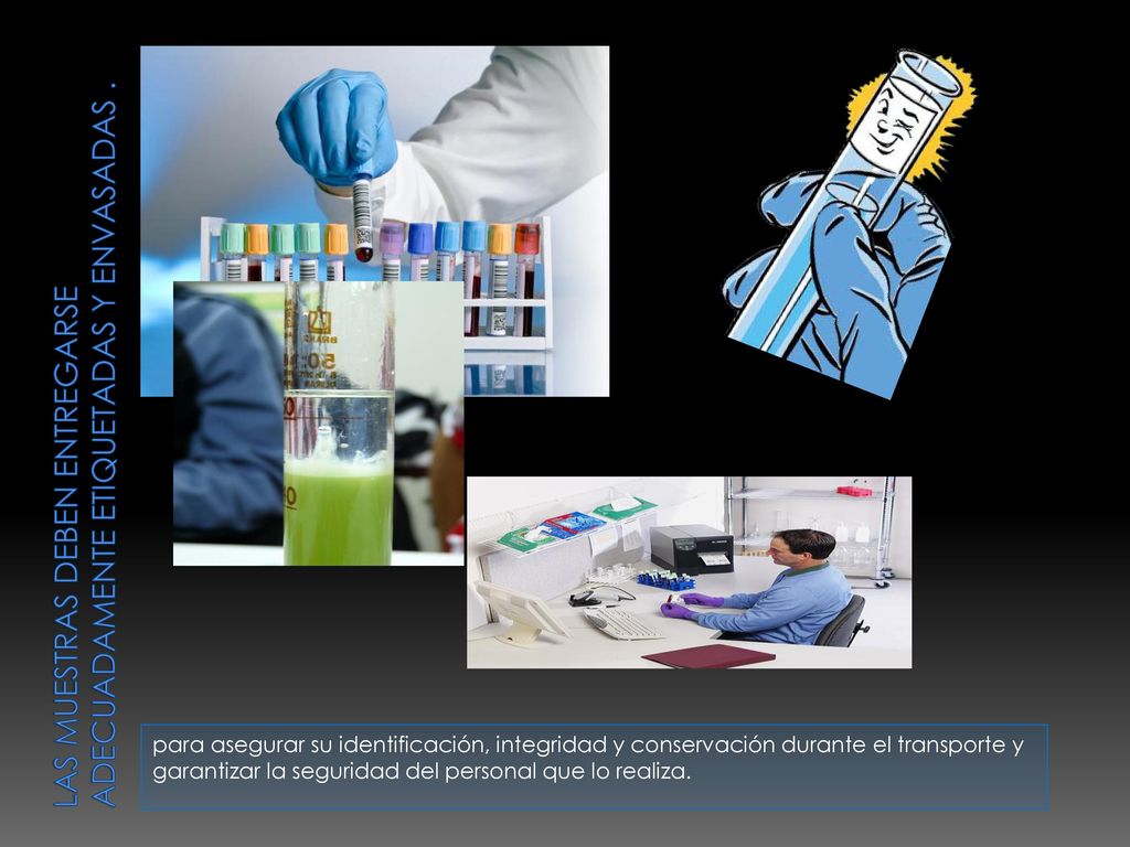 Las muestras deben entregarse adecuadamente etiquetadas Y ENVASADAS .