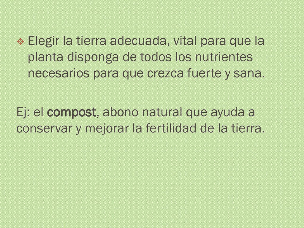 Elegir la tierra adecuada, vital para que la planta disponga de todos los nutrientes necesarios para que crezca fuerte y sana.