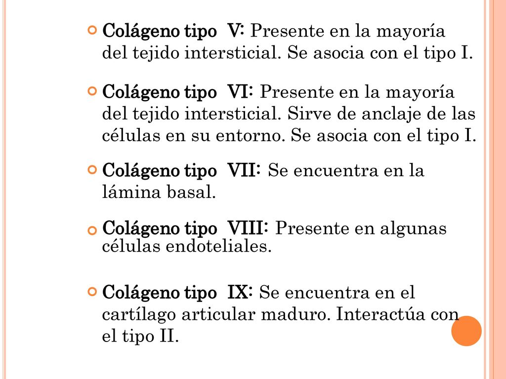 Colágeno tipo VIII: Presente en algunas células endoteliales.