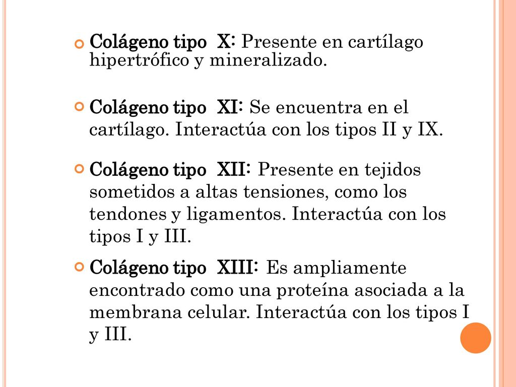 Colágeno tipo X: Presente en cartílago hipertrófico y mineralizado.