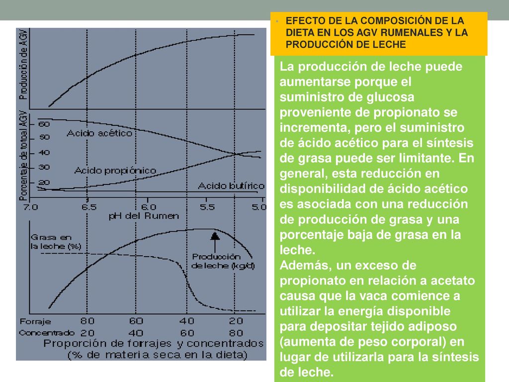 EFECTO DE LA COMPOSICIÓN DE LA DIETA EN LOS AGV RUMENALES Y LA PRODUCCIÓN DE LECHE