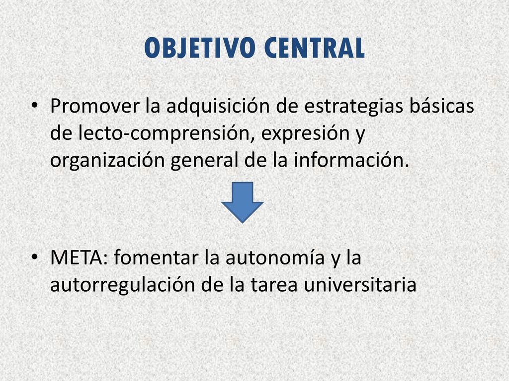 OBJETIVO CENTRAL Promover la adquisición de estrategias básicas de lecto-comprensión, expresión y organización general de la información.