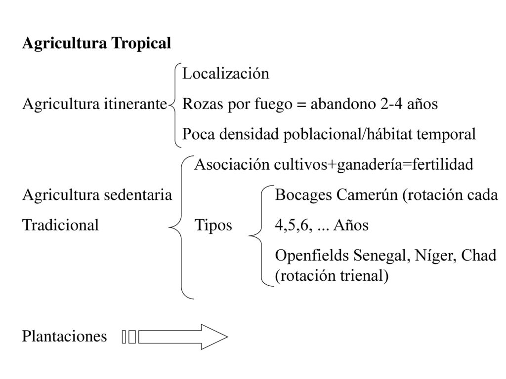 Agricultura Tropical Localización. Agricultura itinerante Rozas por fuego = abandono 2-4 años. Poca densidad poblacional/hábitat temporal.