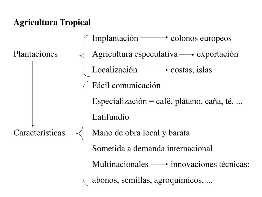 Agricultura Tropical Implantación colonos europeos. Plantaciones Agricultura especulativa exportación.